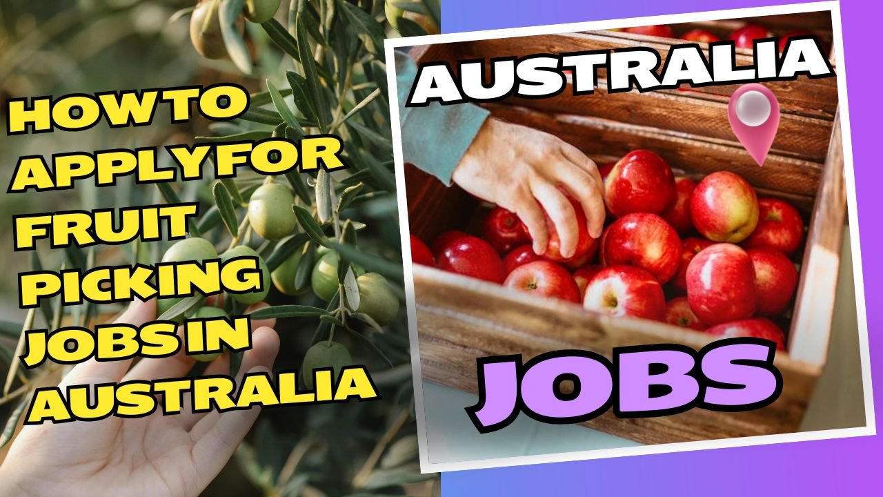 How to Apply for Fruit Picking Jobs in Australia