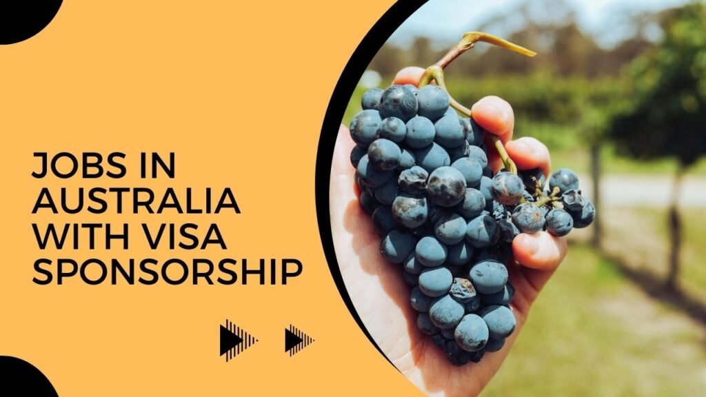 Fruit Picking Jobs in Australia with VISA Sponsorship