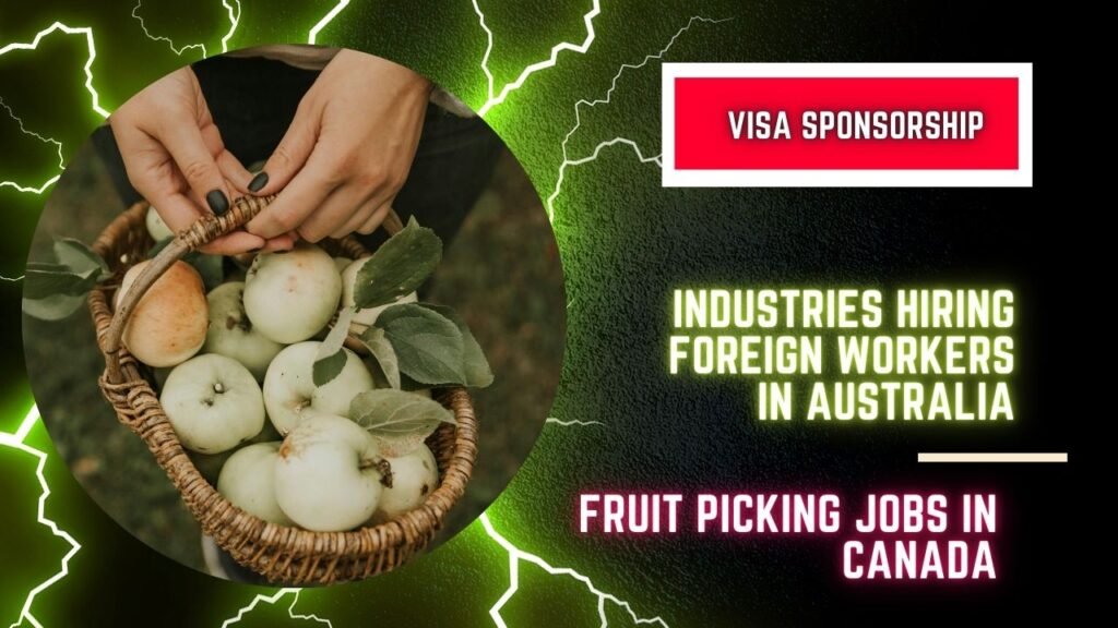 List of Companies offering VISA Sponsorship in Australia